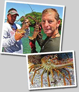 Florida Keys Lobsterand Dolphin Fishing