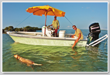 Florida Keys Lobsterand Dolphin Fishing
