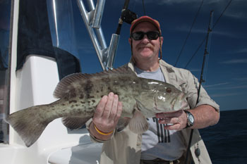 Grouper Fishing in Florida 