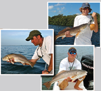 Redfish Fishing in the Gulf