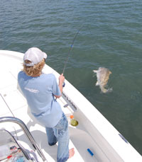 onshore offshore
