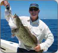 When and where to go Grouper fishing
