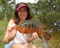 Florida's exotic fish