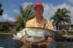 Florida's exotic fish
