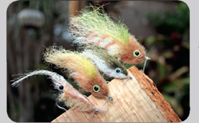 Tampa Bay info on lures and fly fishing tackle