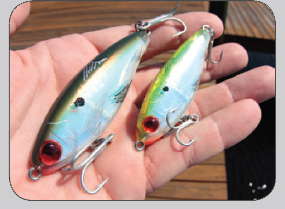 Tampa Bay info on lures and fly fishing tackle