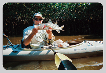 Tampa Bay Snook Fishing