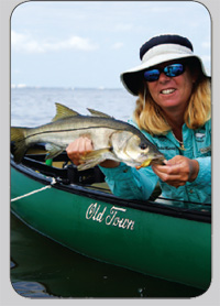 Tampa Bay Snook Fishing