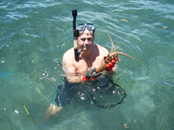 Lobster