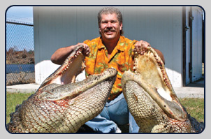 Giant Gator Hunting