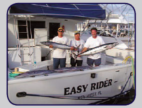 Sailfish Blackfin Tuna, Wahoo, Grouper and
