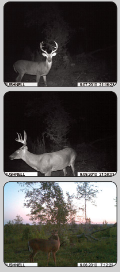 Deer Hunting Success