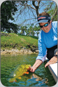 Peacock Bass Fishing