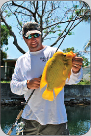 Peacock Bass Fishing