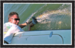 Tarpon Fishing Tampa