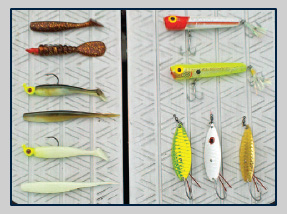 Fishing for Spotted Seatrout