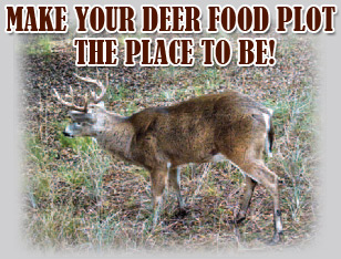 Improve your deer hunting